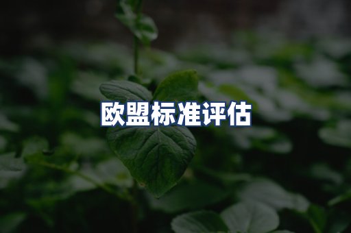 欧盟标准评估