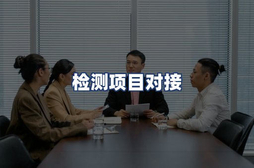检测项目对接